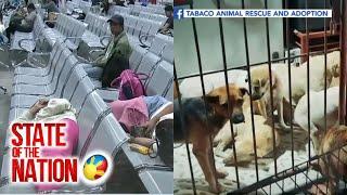 State of the Nation: (Part 2 & 3) #BagyongKristine: Stranded sa pantalan; 'No pets left behind';atbp