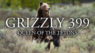 GRIZZLY 399 - A Tribute