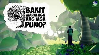 DENR XII ANIMATIONS - Bakit mahalaga ang mga puno?