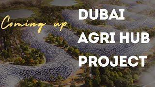 HOW DUBAI FARMS IN A DESERT - DUBAI AGRI HUB PROJECT!