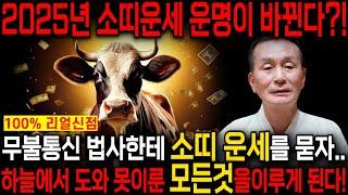2025년 미리보는 을사년 소띠운세눈물 닦으세요! 2025년 금전,귀인,문서운 한번에 다 들어온다! 소띠분들 인생이 바뀝니다! 61년생 73년생 85년생 97년생 소띠 운세