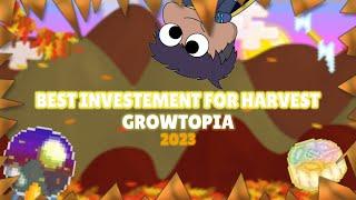 TOP 5 BEST INVESTEMENTS IN HARVEST FEST | GROWTOPIA 2023