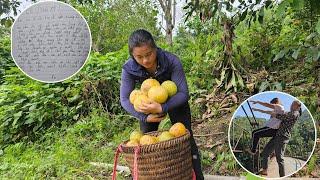 Dinh went to sell grapefruit and found out that the pregnant girl had disappeared.