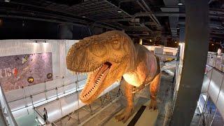 Tik & I hang out with Dinosaurs, eat delicious Buffet Dinner & more, another great day in Bangkok