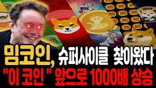 [밈코인 전망]슈퍼사이클 찾아왔다 이 코인 앞으로 1000배 상승 합니다