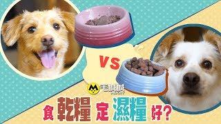 【PetSmart健康飲食知多D】食乾糧定濕糧好？