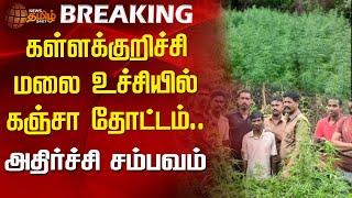 கள்ளக்குறிச்சி மலை உச்சியில் கஞ்சா தோட்டம்..அதிர்ச்சி சம்பவம் | Kallakurichi | Ganja | Arrest