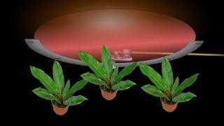 STOP the heat from your Grow Light Fixtures by Total Grow Lights