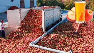 How Apple Juice Is Made In Factory | Modern Fruit Juice Making Technology | Food Factory