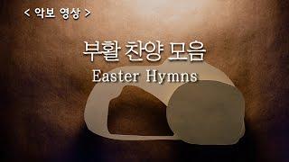 [ 예배 찬양 모음 ] 부활절 찬양 / Easter Hymns  #부활찬양 #부활절특송  #고난주간찬양  #사순절찬양