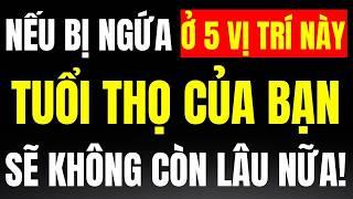 Người Cao Tuổi Chú Ý, Nếu Bị Ngứa Ở 5 Vị Trí Này, Tuổi Thọ Của Bạn Sẽ Không Còn Dài Nữa!