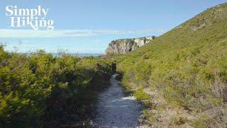 A Simple Hike Down A Sheltered Path | Hiking Trails Tasmania