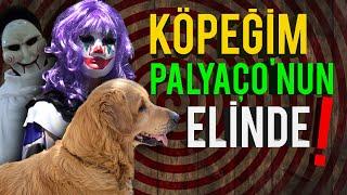 KÖPEĞİMİ BULDUM! - LANETLİ PALYAÇO KIZIN ELİNDE!!! 