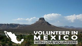 Volunteer in Mexico with Love Volunteers!