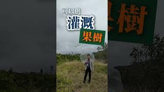 台東房屋出售～卑南親水公園旁農地 | 退休生活與投資首選～日盛房屋 陳威良