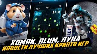 Blum обгонит Hamster Kombat уже скоро! Новости крипто игр. Harvest moon.