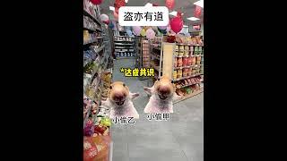 盗亦有道  #猫meme #搞笑 #喵哥是萌新  #猫meme小剧场 #funny #人類迷惑行為  #meme #cat #沙雕剧情  #meme猫 #真实改编