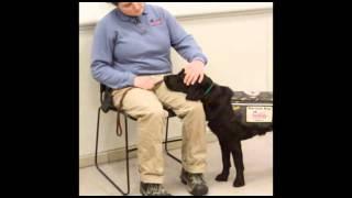 PTSD Service Dog Tasks