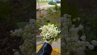 #Самара. #3мая. #Плюс11. Какая погода в вашем городе?
