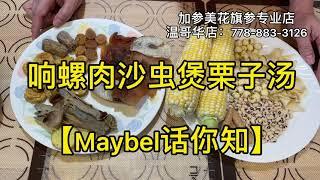 【清润汤】响螺肉沙虫煲栗子汤—【Maybel话你知】conch and sand-worm boiled chestnut soup