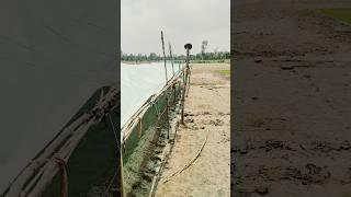 Farming shorts  #farming #shortvideos #shortvideo #vleglife#farming  #kheti #khetibadi #viral