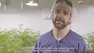 Testimony Huplaso Volcanic Rock Dust on Cannabis - Crystal Cure