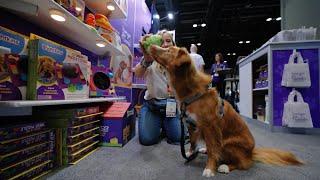 Brightkins at Global Pet Expo 2024