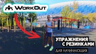 БАЗОВЫЕ УПРАЖНЕНИЯ  ДЛЯ НАЧИНАЮЩИХ С РЕЗИНОВЫМИ ПЕТЛЯМИ ОТ ​⁠@workoutshop #ivanpivaev #workout