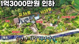 54.급매1억3000만원인하된 전원주택! 수년간 가꾼 지상낙원을 이 가격에?! 160만원 수익과 연못 계곡이 있는 예술가들의 영감쉼터 급매물 제천땅집부동산TV