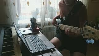 Wild Cherry - Play That Funky Music (bass cover) - Usov Sergey