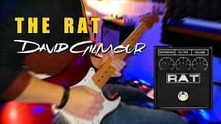 The RAT • Review for Gilmour and Pink Floyd sound