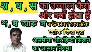 श,ष,स बर्ण का उच्चारन हिन्दी और असमीया में|| অসমীয়া বৰ্ণ শ,ষ,স -ৰ উচ্চাৰণ কেনেকৈ হয়||