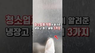 청소업체 직원이 알려준 냉장고 청소꿀팁 3가지