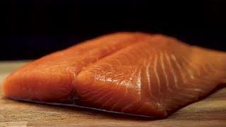 Salmon Fillet Stock Video