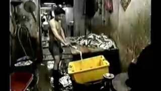 Kowloon Walled City documentary (Part 1/4)