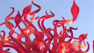 Dale Chihuly - Playing with Fire  [trimmed to 2:20]