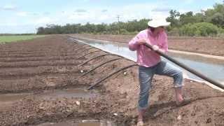 Irrigating with siphons