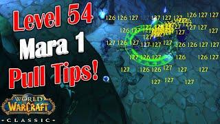 WoW Classic - Arlaeus Coaching - Bsauce Lv 54 Mara 1 Pull - Helpful Tips!