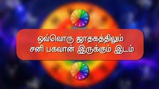 Replay சனி பற்றி டிஎன்ஏ விஷால் ஏற்கனவே வெளியிட்ட பல அரிதான தகவல்கள் | DNA ASTROLOGY | சித்தர்பூமி |