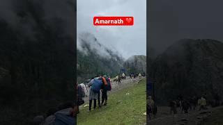 Amarnath Yatra 2024 #amarnathyatra2024 #amarnathtemple #kashmir #baltal #bababarfani #viral #shorts