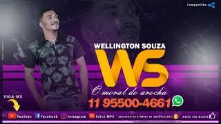 Wellington souza CD promocional 2020