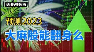 第15期：2023年大麻股能翻身么？看好大麻市场的三大因素是什么？