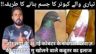 TIYARI WALE KABOOTAR JISAM NI BNATE|| JO KABOOTAR PARWAZ KE BAD NOK KHOLTE|| #aliimranpigeonsvlog