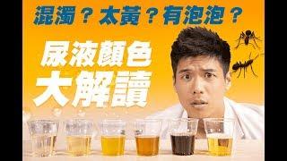 看尿液也能知道身體狀況｜你有看過嗎？｜營養師這樣說