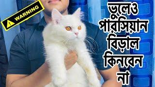 Don’t Buy A Persian Cat Before Watching This | Persian Cat Fraud Market | Katabon Pet Market | Kitty