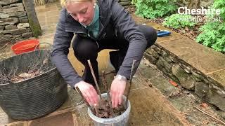 How to build a hoverfly lagoon 