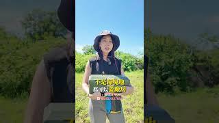為什麼要做土地鑑界，農地可以蓋廠房嗎？