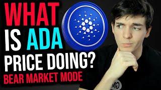 Cardano (ADA) Price Go Up, Price Go Down... Bear Market???