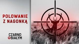 Wiceminister Dorożała zapowiada zmiany w prawie łowieckim [Czarno na białym TVN24]