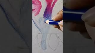 strawberry drawing | #shorts #art #youtubeshorts #drawing | SOUJUZ DRAWING